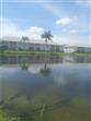 224048479 - 15030 Arbor Lakes Drive W UNIT 205, North Fort Myers, FL 33917